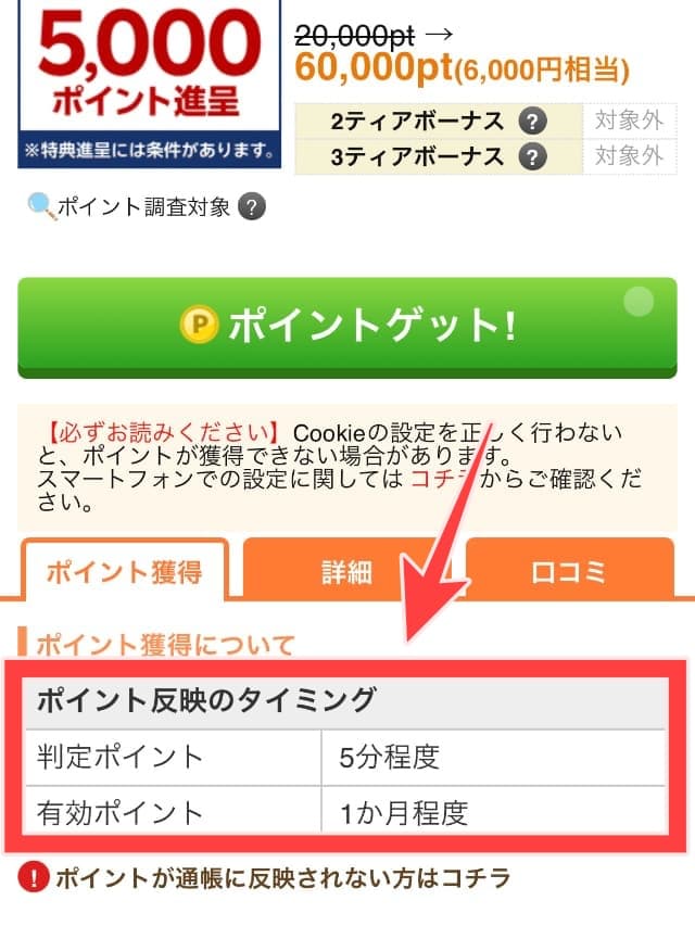 ポイント獲得時期が記載されている有効ポイント部を図示
