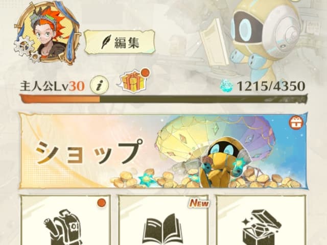 主人公レベルが表示される画面（レベル30到達）