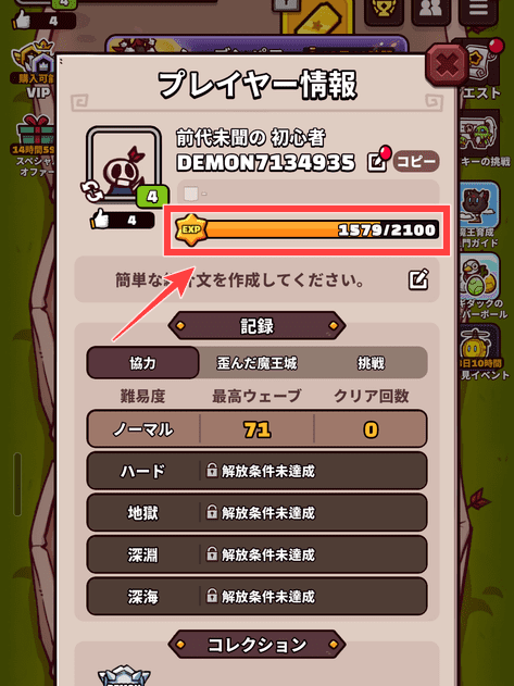 プレイヤー情報画面の経験値ゲージ